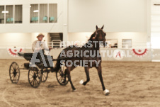 ete's Photography - Equine photography of various equine events at the Ancaster Fair including riding, driving, single carts and six draft horse hitches.