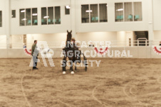 ete's Photography - Equine photography of various equine events at the Ancaster Fair including riding, driving, single carts and six draft horse hitches.