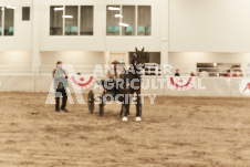 ete's Photography - Equine photography of various equine events at the Ancaster Fair including riding, driving, single carts and six draft horse hitches.