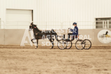 ete's Photography - Equine photography of various equine events at the Ancaster Fair including riding, driving, single carts and six draft horse hitches.