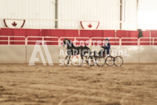 ete's Photography - Equine photography of various equine events at the Ancaster Fair including riding, driving, single carts and six draft horse hitches.