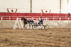 ete's Photography - Equine photography of various equine events at the Ancaster Fair including riding, driving, single carts and six draft horse hitches.