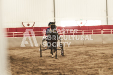 ete's Photography - Equine photography of various equine events at the Ancaster Fair including riding, driving, single carts and six draft horse hitches.