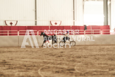 ete's Photography - Equine photography of various equine events at the Ancaster Fair including riding, driving, single carts and six draft horse hitches.