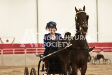 ete's Photography - Equine photography of various equine events at the Ancaster Fair including riding, driving, single carts and six draft horse hitches.