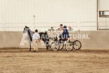 ete's Photography - Equine photography of various equine events at the Ancaster Fair including riding, driving, single carts and six draft horse hitches.