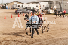 ete's Photography - Equine photography of various equine events at the Ancaster Fair including riding, driving, single carts and six draft horse hitches.