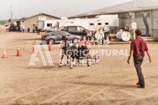 ete's Photography - Equine photography of various equine events at the Ancaster Fair including riding, driving, single carts and six draft horse hitches.