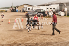 ete's Photography - Equine photography of various equine events at the Ancaster Fair including riding, driving, single carts and six draft horse hitches.