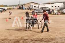 ete's Photography - Equine photography of various equine events at the Ancaster Fair including riding, driving, single carts and six draft horse hitches.