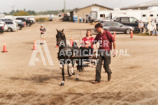 ete's Photography - Equine photography of various equine events at the Ancaster Fair including riding, driving, single carts and six draft horse hitches.