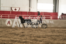 ete's Photography - Equine photography of various equine events at the Ancaster Fair including riding, driving, single carts and six draft horse hitches.