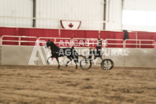 ete's Photography - Equine photography of various equine events at the Ancaster Fair including riding, driving, single carts and six draft horse hitches.