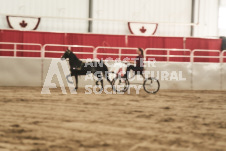 ete's Photography - Equine photography of various equine events at the Ancaster Fair including riding, driving, single carts and six draft horse hitches.