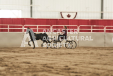 ete's Photography - Equine photography of various equine events at the Ancaster Fair including riding, driving, single carts and six draft horse hitches.