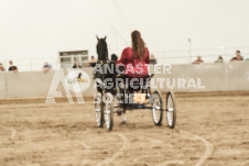 ete's Photography - Equine photography of various equine events at the Ancaster Fair including riding, driving, single carts and six draft horse hitches.