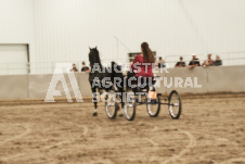 ete's Photography - Equine photography of various equine events at the Ancaster Fair including riding, driving, single carts and six draft horse hitches.