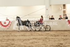 ete's Photography - Equine photography of various equine events at the Ancaster Fair including riding, driving, single carts and six draft horse hitches.