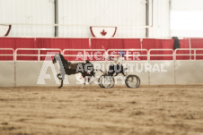 ete's Photography - Equine photography of various equine events at the Ancaster Fair including riding, driving, single carts and six draft horse hitches.