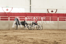 ete's Photography - Equine photography of various equine events at the Ancaster Fair including riding, driving, single carts and six draft horse hitches.