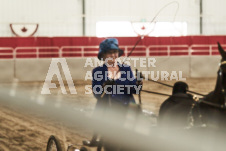 ete's Photography - Equine photography of various equine events at the Ancaster Fair including riding, driving, single carts and six draft horse hitches.