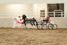 ete's Photography - Equine photography of various equine events at the Ancaster Fair including riding, driving, single carts and six draft horse hitches.