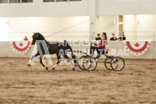 ete's Photography - Equine photography of various equine events at the Ancaster Fair including riding, driving, single carts and six draft horse hitches.