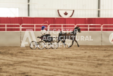 ete's Photography - Equine photography of various equine events at the Ancaster Fair including riding, driving, single carts and six draft horse hitches.