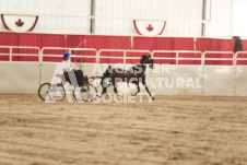 ete's Photography - Equine photography of various equine events at the Ancaster Fair including riding, driving, single carts and six draft horse hitches.