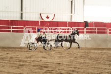 ete's Photography - Equine photography of various equine events at the Ancaster Fair including riding, driving, single carts and six draft horse hitches.