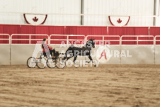 ete's Photography - Equine photography of various equine events at the Ancaster Fair including riding, driving, single carts and six draft horse hitches.