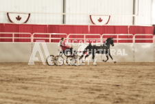 ete's Photography - Equine photography of various equine events at the Ancaster Fair including riding, driving, single carts and six draft horse hitches.