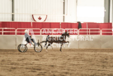 ete's Photography - Equine photography of various equine events at the Ancaster Fair including riding, driving, single carts and six draft horse hitches.