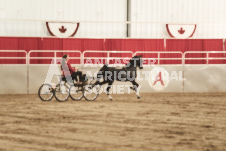 ete's Photography - Equine photography of various equine events at the Ancaster Fair including riding, driving, single carts and six draft horse hitches.