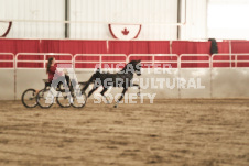 ete's Photography - Equine photography of various equine events at the Ancaster Fair including riding, driving, single carts and six draft horse hitches.