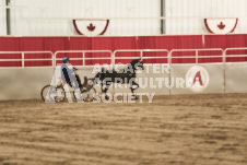 ete's Photography - Equine photography of various equine events at the Ancaster Fair including riding, driving, single carts and six draft horse hitches.