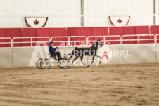 ete's Photography - Equine photography of various equine events at the Ancaster Fair including riding, driving, single carts and six draft horse hitches.