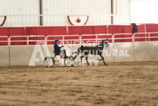 ete's Photography - Equine photography of various equine events at the Ancaster Fair including riding, driving, single carts and six draft horse hitches.