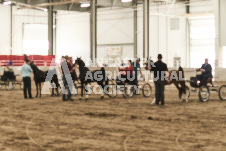 ete's Photography - Equine photography of various equine events at the Ancaster Fair including riding, driving, single carts and six draft horse hitches.