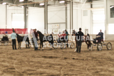 ete's Photography - Equine photography of various equine events at the Ancaster Fair including riding, driving, single carts and six draft horse hitches.