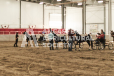 ete's Photography - Equine photography of various equine events at the Ancaster Fair including riding, driving, single carts and six draft horse hitches.