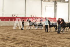 ete's Photography - Equine photography of various equine events at the Ancaster Fair including riding, driving, single carts and six draft horse hitches.