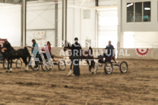 ete's Photography - Equine photography of various equine events at the Ancaster Fair including riding, driving, single carts and six draft horse hitches.