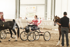 ete's Photography - Equine photography of various equine events at the Ancaster Fair including riding, driving, single carts and six draft horse hitches.