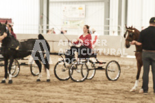 ete's Photography - Equine photography of various equine events at the Ancaster Fair including riding, driving, single carts and six draft horse hitches.