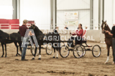 ete's Photography - Equine photography of various equine events at the Ancaster Fair including riding, driving, single carts and six draft horse hitches.