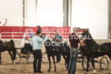 ete's Photography - Equine photography of various equine events at the Ancaster Fair including riding, driving, single carts and six draft horse hitches.