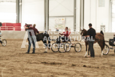 ete's Photography - Equine photography of various equine events at the Ancaster Fair including riding, driving, single carts and six draft horse hitches.