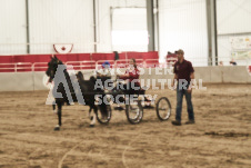 ete's Photography - Equine photography of various equine events at the Ancaster Fair including riding, driving, single carts and six draft horse hitches.