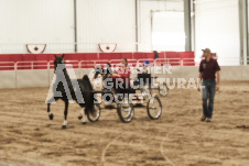 ete's Photography - Equine photography of various equine events at the Ancaster Fair including riding, driving, single carts and six draft horse hitches.